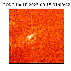 gong - 2025-08-15T01:00:42