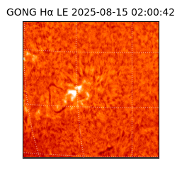 gong - 2025-08-15T02:00:42