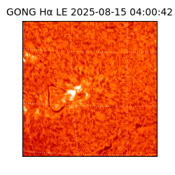 gong - 2025-08-15T04:00:42