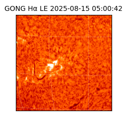 gong - 2025-08-15T05:00:42