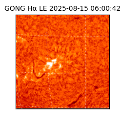 gong - 2025-08-15T06:00:42