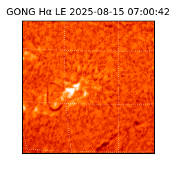 gong - 2025-08-15T07:00:42