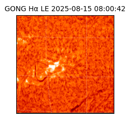 gong - 2025-08-15T08:00:42