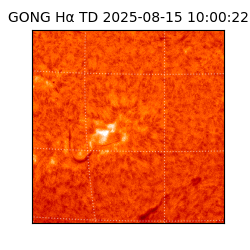 gong - 2025-08-15T10:00:22