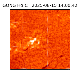 gong - 2025-08-15T14:00:42