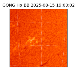 gong - 2025-08-15T19:00:02