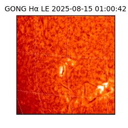 gong - 2025-08-15T01:00:42