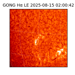 gong - 2025-08-15T02:00:42