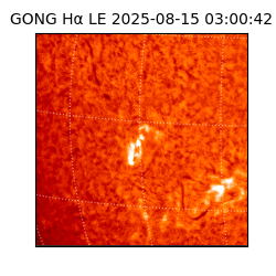 gong - 2025-08-15T03:00:42