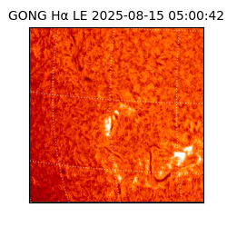 gong - 2025-08-15T05:00:42