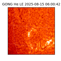 gong - 2025-08-15T06:00:42