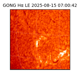 gong - 2025-08-15T07:00:42