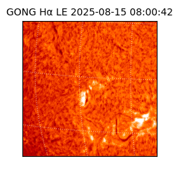 gong - 2025-08-15T08:00:42