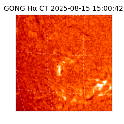 gong - 2025-08-15T15:00:42