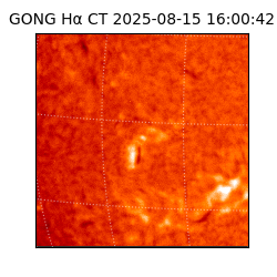 gong - 2025-08-15T16:00:42