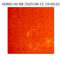 gong - 2025-08-15T19:00:02