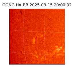 gong - 2025-08-15T20:00:02