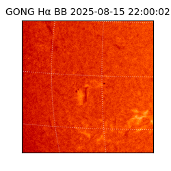 gong - 2025-08-15T22:00:02