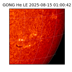 gong - 2025-08-15T01:00:42