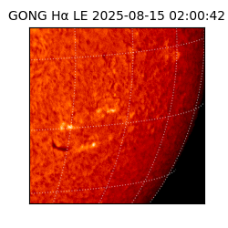 gong - 2025-08-15T02:00:42