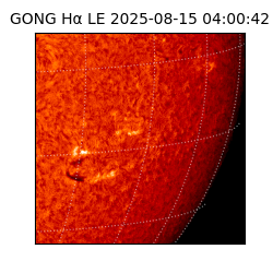 gong - 2025-08-15T04:00:42