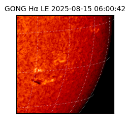 gong - 2025-08-15T06:00:42