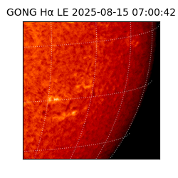 gong - 2025-08-15T07:00:42