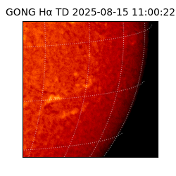 gong - 2025-08-15T11:00:22