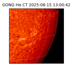 gong - 2025-08-15T13:00:42