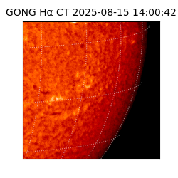 gong - 2025-08-15T14:00:42