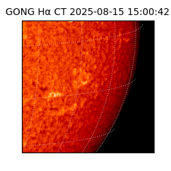 gong - 2025-08-15T15:00:42