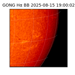 gong - 2025-08-15T19:00:02