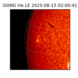 gong - 2025-08-15T02:00:42