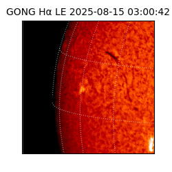 gong - 2025-08-15T03:00:42