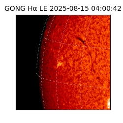 gong - 2025-08-15T04:00:42