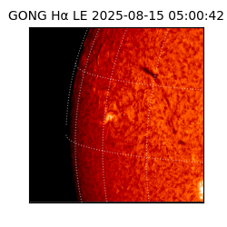 gong - 2025-08-15T05:00:42