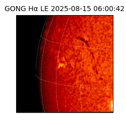 gong - 2025-08-15T06:00:42