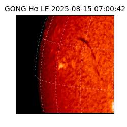 gong - 2025-08-15T07:00:42
