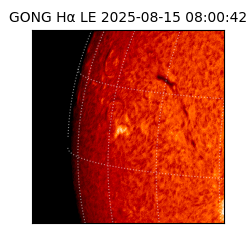 gong - 2025-08-15T08:00:42