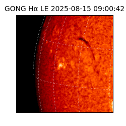gong - 2025-08-15T09:00:42