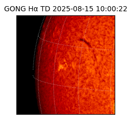 gong - 2025-08-15T10:00:22