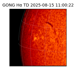 gong - 2025-08-15T11:00:22
