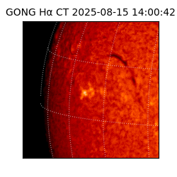gong - 2025-08-15T14:00:42