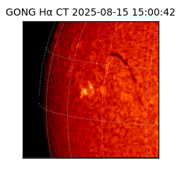 gong - 2025-08-15T15:00:42