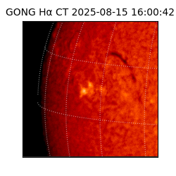 gong - 2025-08-15T16:00:42