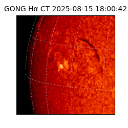 gong - 2025-08-15T18:00:42