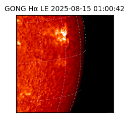 gong - 2025-08-15T01:00:42