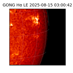 gong - 2025-08-15T03:00:42