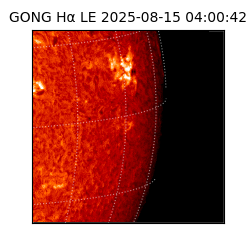 gong - 2025-08-15T04:00:42