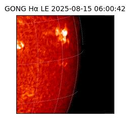 gong - 2025-08-15T06:00:42